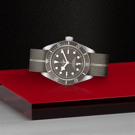 tudor silver case watch